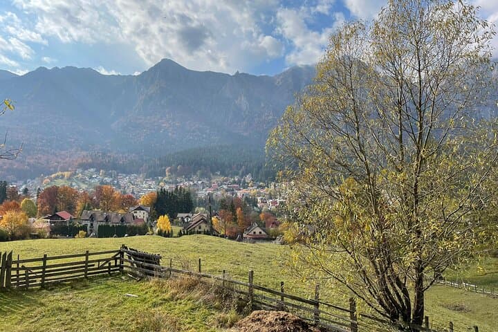 Full-Day ATV & Buggy Adventure in the Carpathians from Bucharest photo 5