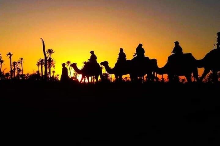 Sunset Camel Ride in Marrakech Palmeraie: Palm-Grove Sunset Trek photo 3