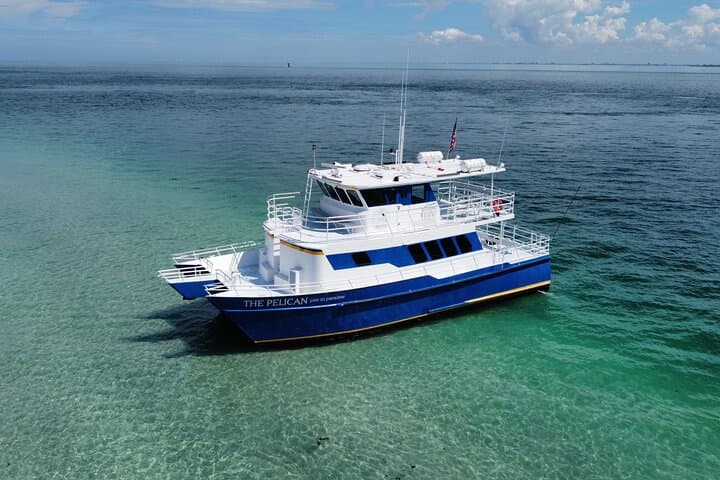 St. Petersburg Sunset Cruise: Skyway Bridge, Dolphins & Coastal Views photo 6
