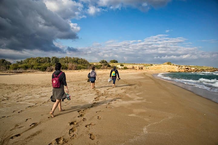 Vendicari Nature Reserve Walk from Syracuse — Birdwatching, Tonnara Ruins & Coastal Beaches photo 1