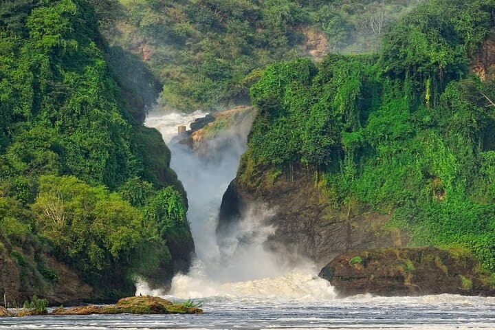 8-Day Murchison Falls, Chimp & Gorilla Trekking Safari in Uganda photo 3