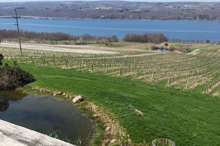 Seneca Lake South Wine Tasting Tour: Wineries, Views & Planning Guide photo 3