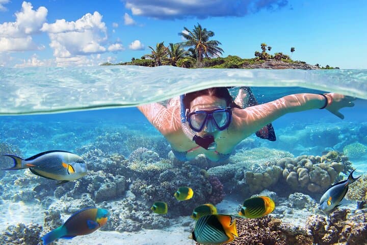 Nassau Private Island Snorkel: Turtles, Beach & BBQ from Paradise Island