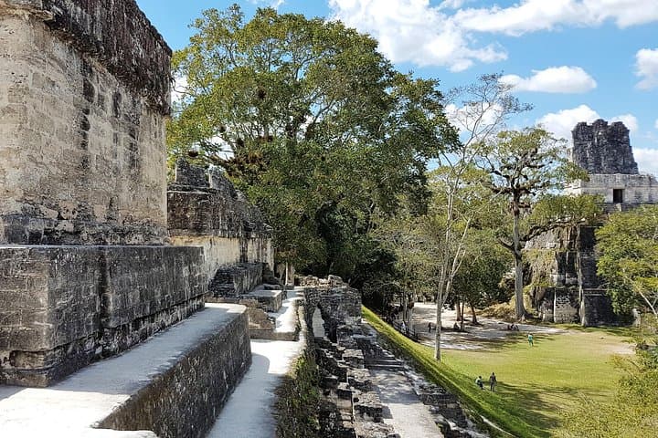 Tikal Day Tour from Flores — Climb Temple IV, Wildlife & Mayan Ruins photo 2