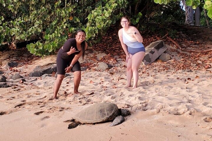 North Shore Ocean Adventure: Jeep Circle-Island, Surf Lesson & Turtle Paddleboard Tour photo 6