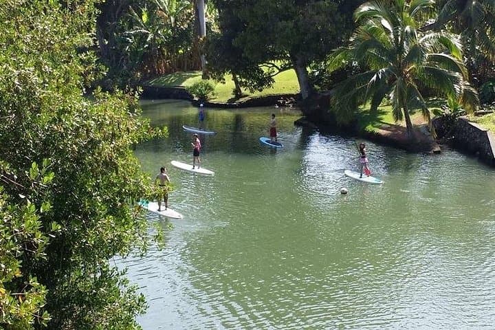 Stand-Up Paddle the Anahulu: Guided Turtle Tour on Oahu’s North Shore photo 6