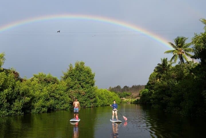 Stand-Up Paddle the Anahulu: Guided Turtle Tour on Oahu’s North Shore