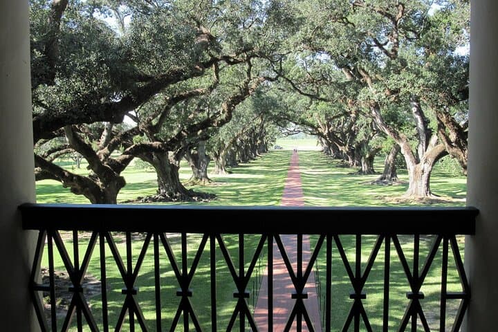 Oak Alley Plantation Tour: Walk the 300-Year-Old Oak Alley Near New Orleans photo 2