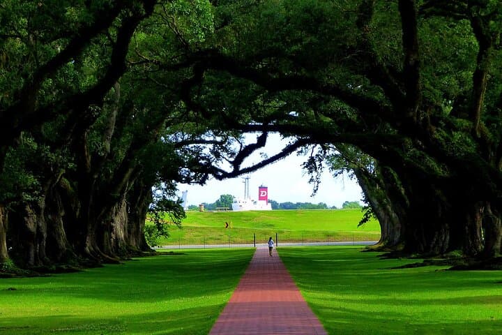 Oak Alley Plantation Tour: Walk the 300-Year-Old Oak Alley Near New Orleans photo 3