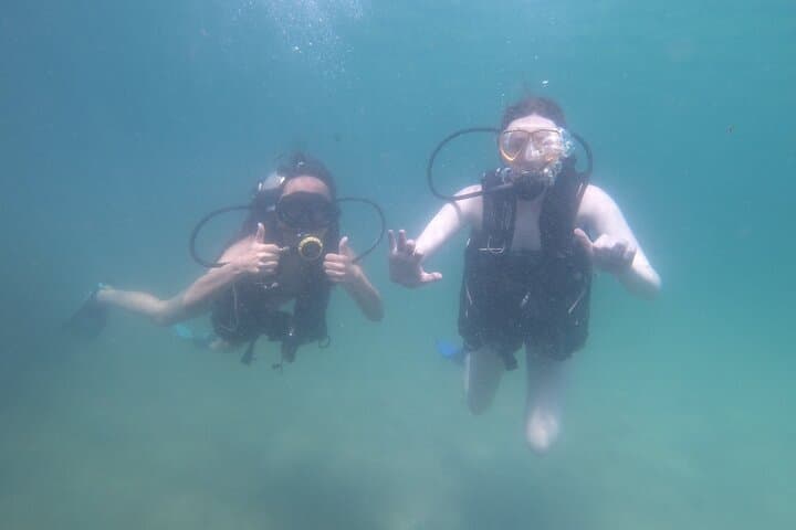 Try Scuba Diving at St. Andrews Jetties — Panama City Beach Beginners' Dive photo 6