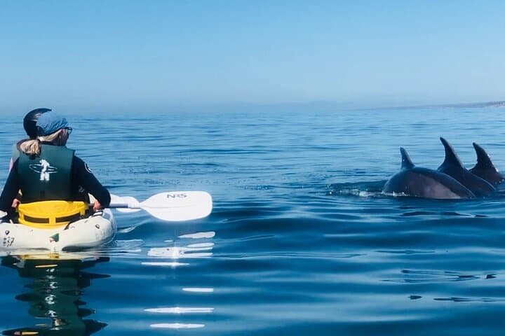 La Jolla 90-Minute Double Kayak Rental — Paddle the Ecological Reserve photo 2