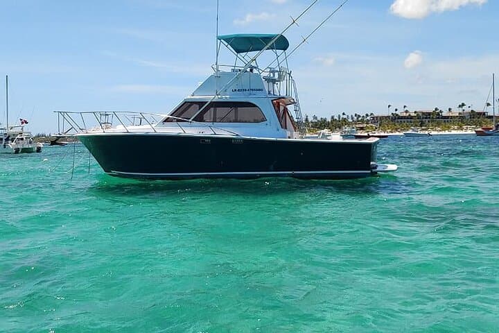 Deep-Sea Fishing Off Punta Cana: 5-Hour Charter for Marlin, Dorado & Tuna photo 3