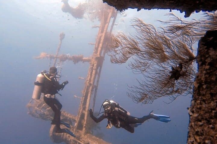 Aqaba Private Scuba Diving — Cedar Pride Wreck & Red Sea Coral Gardens photo 3