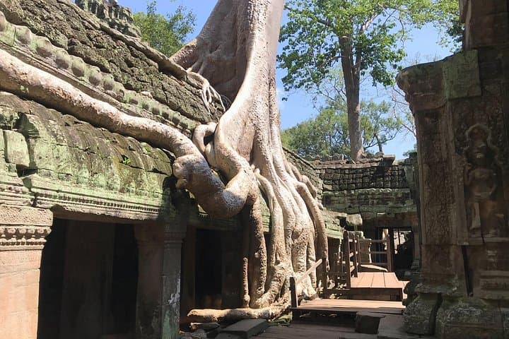 Dawn at Angkor Wat: Sunrise Temple Tour and Tonle Sap Village Visit photo 3