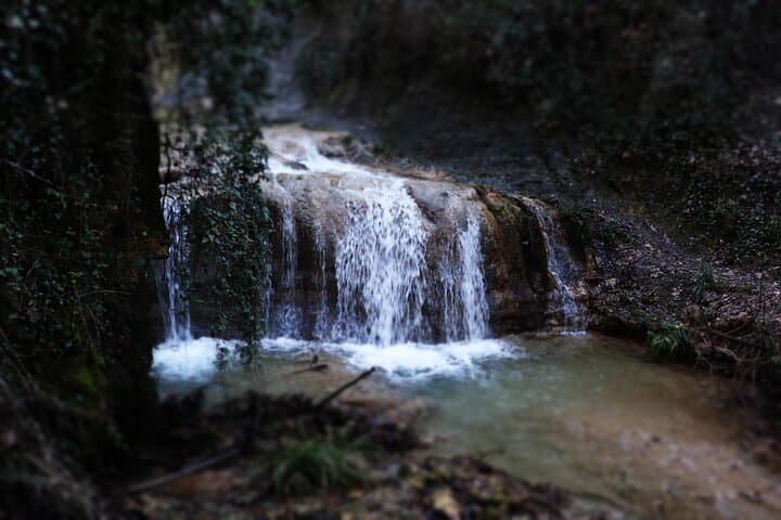 River Trekking Stenosia: Half-Day Waterfall Hike from Kalamata photo 6