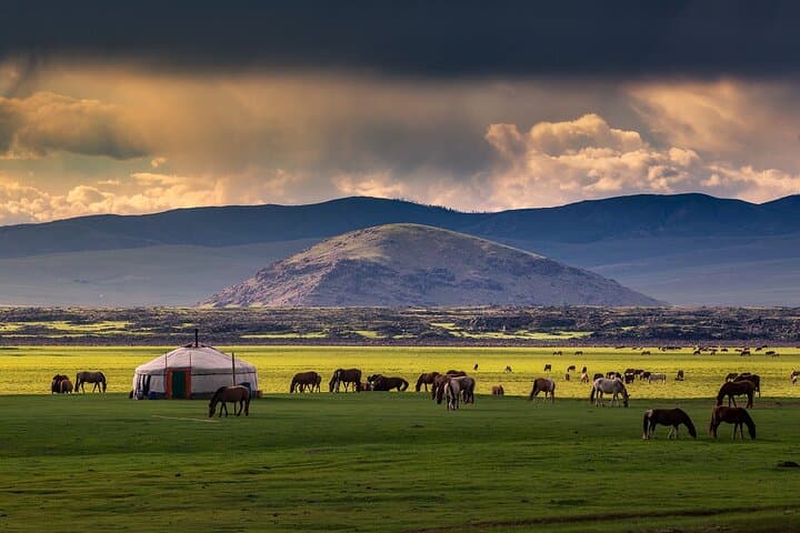 7-Day Central Mongolia Tour — Kharkhorin, Terelj & Przewalski Horses