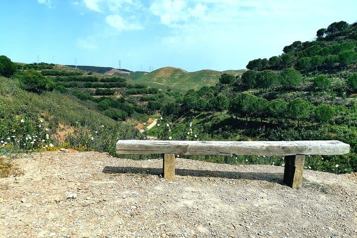 Silves Buggy Off‑Road Tour: Dirt Tracks, River Crossings & Algarve Vistas photo 5