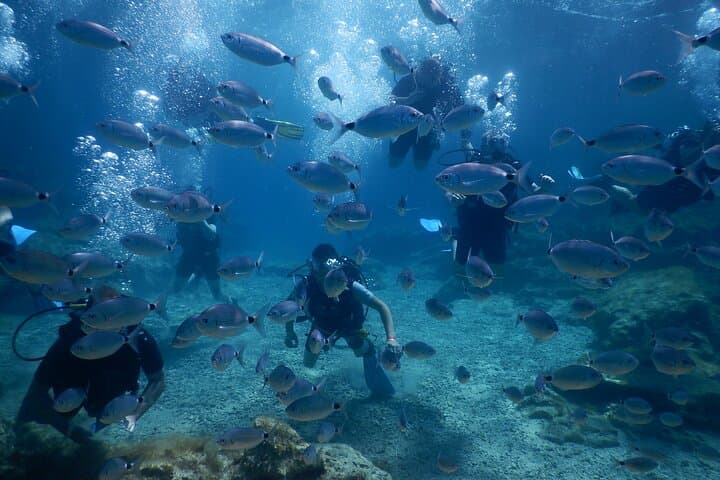 Discover Scuba Diving in Green Bay, Ayia Napa — Beginner-Friendly Dives in Cyprus photo 2