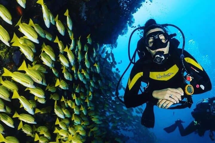 Introduction to Scuba Diving at Jumeirah Beach — Dubai Beginner Dive photo 2