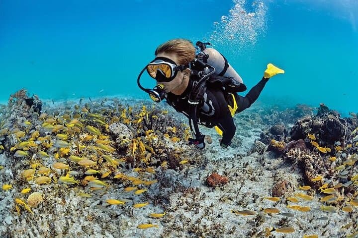 Introduction to Scuba Diving at Jumeirah Beach — Dubai Beginner Dive photo 4
