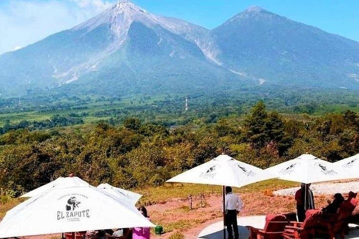 San Cayetano Farm Day Trip: Volcano Views & Coffee Fields from Puerto Quetzal photo 1