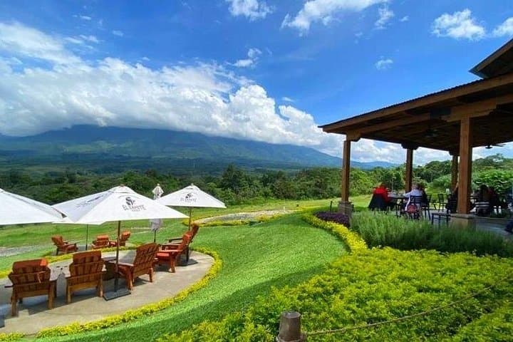 San Cayetano Farm Day Trip: Volcano Views & Coffee Fields from Puerto Quetzal photo 3