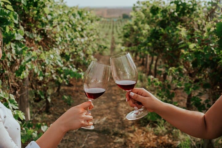 Dos Hemisferios Vineyard Tour: 3-Hour Wine Tasting Near Quito
