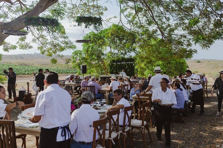 Dos Hemisferios Vineyard Tour: 3-Hour Wine Tasting Near Quito photo 6