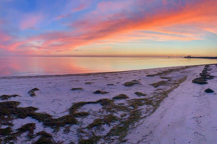 Exploring Florida’s Gulf Coast Eco Tour: Beaches, Wildlife & Island Trails photo 4