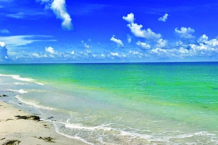 Exploring Florida’s Gulf Coast Eco Tour: Beaches, Wildlife & Island Trails photo 5