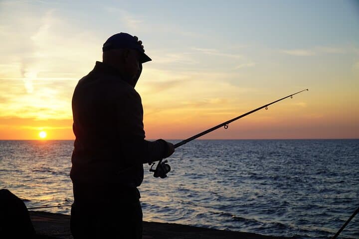 Exploring Florida’s Gulf Coast Eco Tour: Beaches, Wildlife & Island Trails photo 6