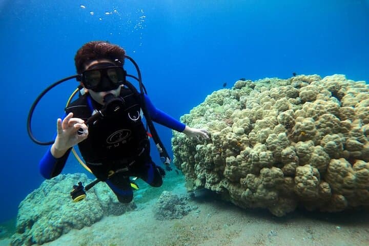 3-Day Open Water Scuba Course in Aqaba — Red Sea PADI Certification photo 3