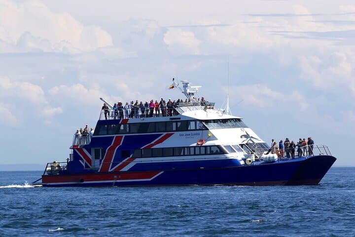 Seattle Whale Watching from Pier 69 — Salish Sea Wildlife Cruise (3–5 hrs) photo 3