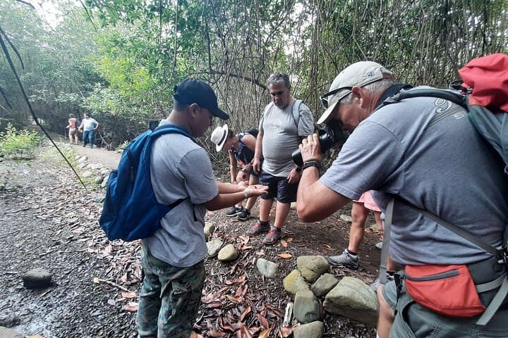 Guayaquil Extreme: 3-Day City & Churute Mangroves Immersion photo 2