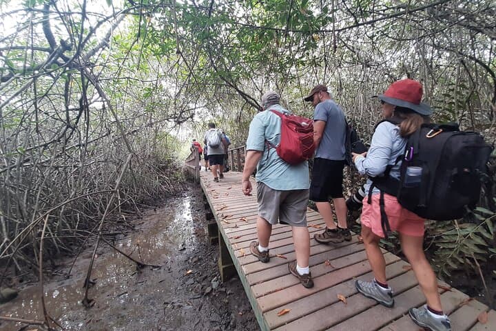 Guayaquil Extreme: 3-Day City & Churute Mangroves Immersion photo 3