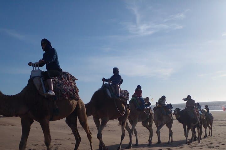 Essaouira Camel Ride: 2-Hour Sunset Tour with Pickup & Drop photo 4