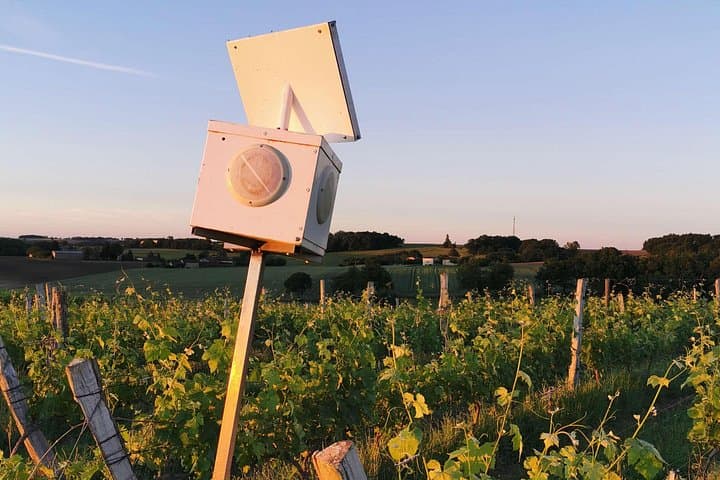 Discover Domaine d'Arton: Armagnac Estate Tour in Haut-Armagnac photo 1