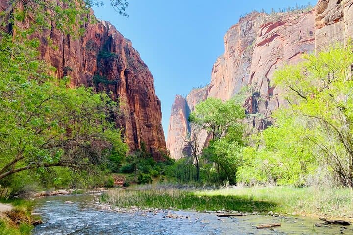 Zion Narrows Guided Hike to Wall Street — Small-Group Riverside Adventure photo 6