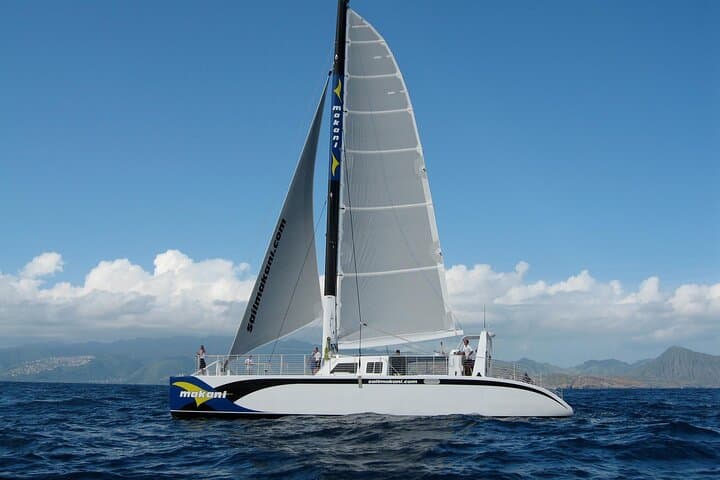 Sail into Serenity: A Luxury Catamaran Experience off Oahu's Coast photo 5