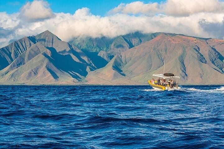 Explore Lanai’s Wild Shores: A Deluxe Dolphin and Snorkel Adventure photo 2