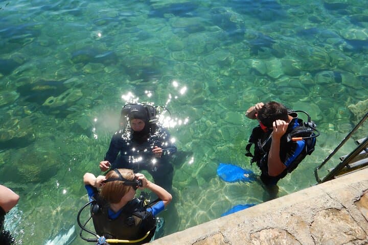 Try Scuba Diving in Pula: Beginner House-Reef Dives on Verudela Peninsula photo 3
