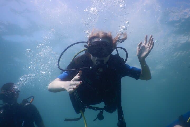 Pula Discover Scuba Diving Package — Intro Scuba Dives on Istria's House Reef photo 3