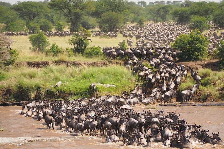 Grumeti River Safari: 8-Day Luxury Migration Experience in Tanzania (May–July) photo 2