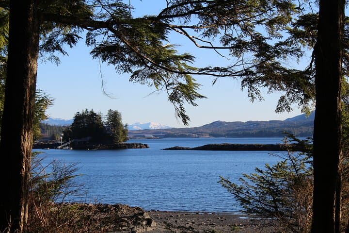 Exploring Ketchikan’s Hidden Corners: A 3-Hour Photo Safari Adventure
