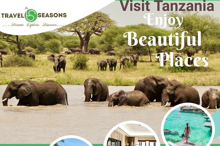 Tarangire to Ngorongoro: 2-Day Private Safari from Arusha photo 2