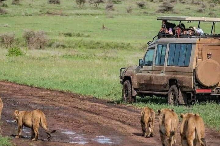 Tarangire to Ngorongoro: 2-Day Private Safari from Arusha photo 4