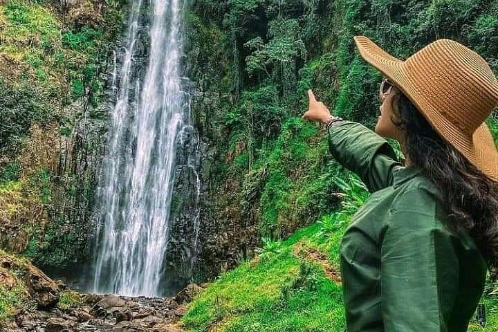 Tarangire to Ngorongoro: 2-Day Private Safari from Arusha photo 5
