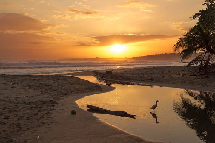 San José to Tamarindo Shared Shuttle — Air-Conditioned Transfer (3 hrs) photo 3