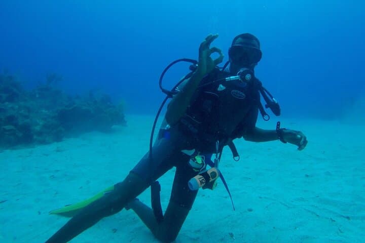 Montego Bay Discover Scuba Diving: One-Tank Intro to Coral Reefs photo 6