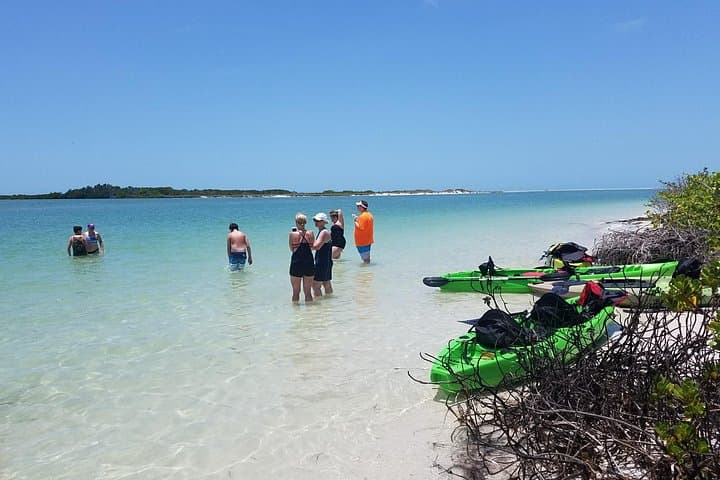 Shell Key Preserve Guided Kayak EcoTour — St. Petersburg Mangroves & Wildlife photo 2